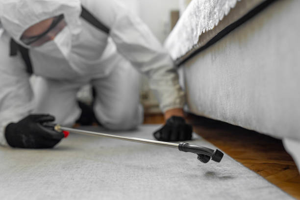 Professional Bed Bug Control technician working in White Sulphur Springs, MT
