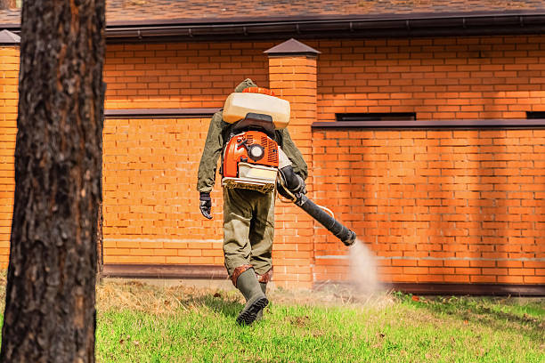 Trusted Bed Bug Control service in White Sulphur Springs, MT - Nex Pest Control